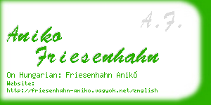 aniko friesenhahn business card